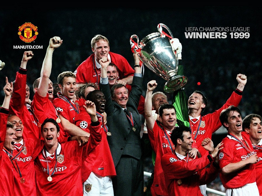 仅提供了精 仅提供了精